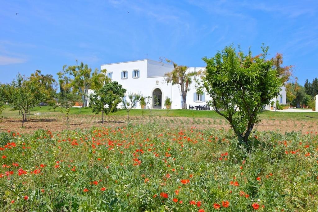 Masseria Montelauro Otranto Exterior foto